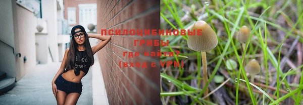 ALPHA PVP Верхнеуральск