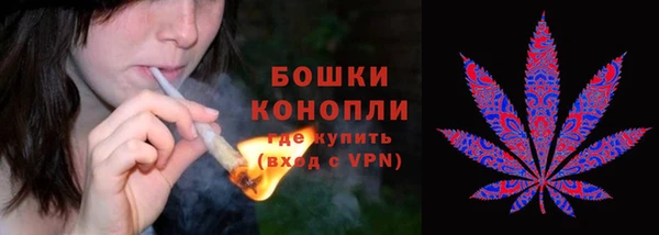 амф Кулебаки