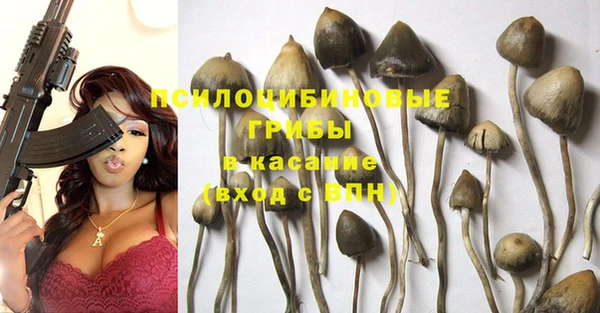 прущая мука Кукмор